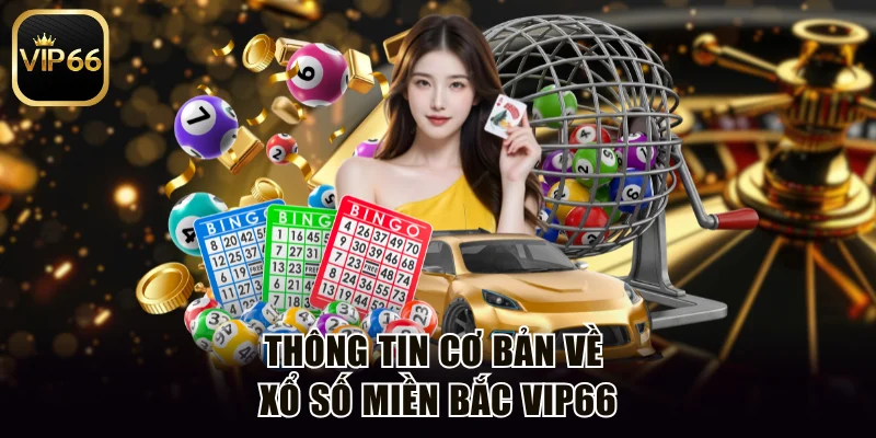 Thông tin cơ bản về xổ số miền Bắc Vip66